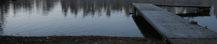 Ducks in Atikokan, ON